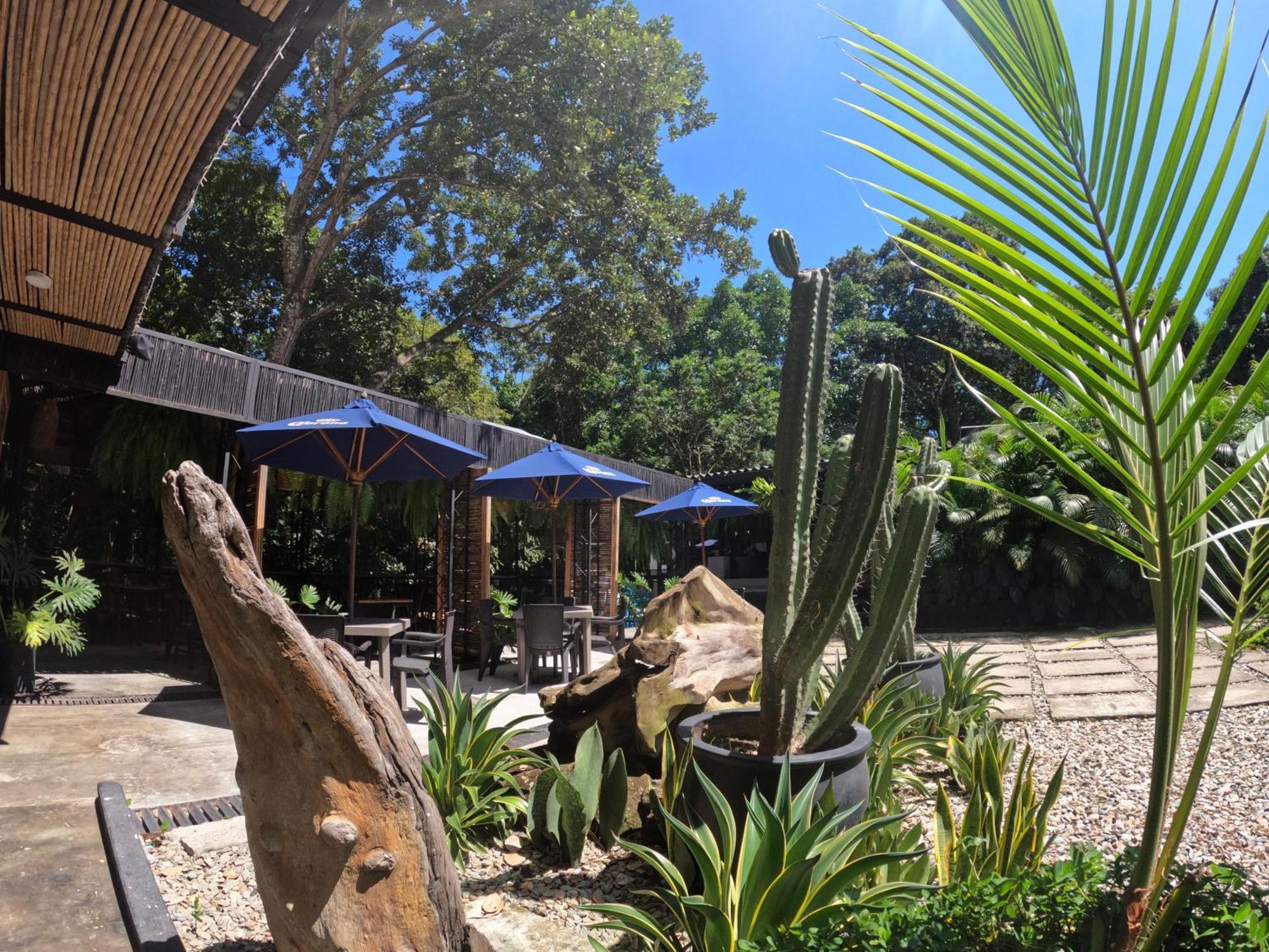 Hotel Casa De Hadas Minca Εξωτερικό φωτογραφία